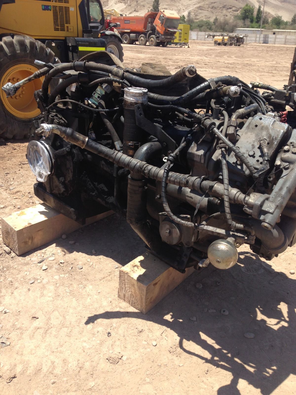 whatsapp image 2026 03 13 at 11.27.14